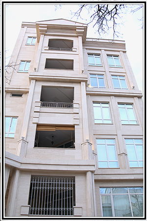 کاکتوس 6
